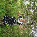 ���� ��������, ������, 68 ��� - ��������� 3 �������� 2013 � ������ ���� ����������