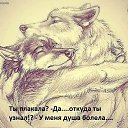 ���� ������, ���������, 48 ��� - ��������� 8 ����� 2014 � ������ ���� ����������