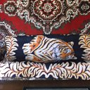 !!!!!!!!!!!!!!   ,   .     Ũ .