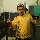 ���� �������, ���������, 49 ��� - ��������� 3 ������� 2013 � ������ ���� ����������