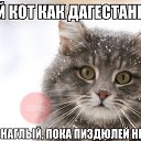 ���� ������, ������, 25 ��� - ��������� 22 ������� 2013