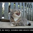 ���� **S**, �������������-���������� - ��������� 2 ������� 2013 � ������ �������