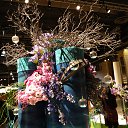 ���� ..����_,����.tatiana, ������� - ��������� 3 ����� 2014 � ������ �Flower show 1 mart.2014.�