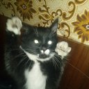 ���� Aleksey, �����-���������, 37 ��� - ��������� 12 ������ 2014 � ������ ���� ����������
