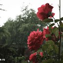 ���� ����, �������, 64 ���� - ��������� 20 ������� 2014 � ������ ���� ����������