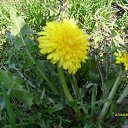 ���� Oleg, ������ - ��������� 1 ����� 2014 � ������ ������ ��������