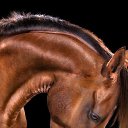 ���� **Markiza*c*250*, ����� - ��������� 10 ������� 2013 � ������ �����������Ż