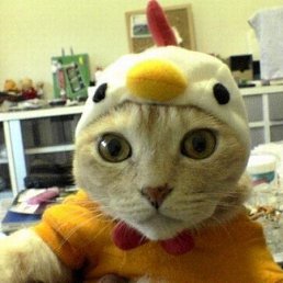 Yaya, ��������, 43 ����