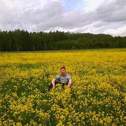 ���� ������� �������, ������, 53 ���� - ��������� 16 ������ 2013