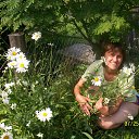 ���� �����, ���������, 57 ��� - ��������� 23 ������ 2013 � ������ �����-2010�