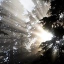 ���� Zoro, ��������, 53 ���� - ��������� 15 ������ 2014