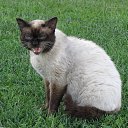 ������� ���������� �� ������� ���� ����������