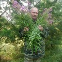 ���� �������, ����, 66 ��� - ��������� 5 ������� 2013