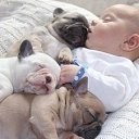 ���� ������, �����-���������, 44 ���� - ��������� 19 ������� 2013