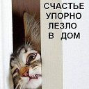 ���� ����, ������, 51 ��� - ��������� 10 ������� 2013 � ������ ����