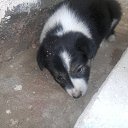 ���� Aleks, ����� ������� - ��������� 11 ������ 2013 � ������ ��������� �������.�