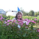 ���� �����, ������ �����, 64 ���� - ��������� 5 ����� 2014 � ������ ���� ����������