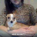 ���� �����, ����������, 33 ���� - ��������� 24 ������ 2014