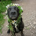 ���� ������, �����-���������, 57 ��� - ��������� 8 ����� 2014