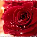 ���� ***����***, �������� - ��������� 12 ������� 2014 � ������ ������ ��������