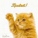 �������� ��� � ����������)) :-) �� ������� ���� ����������