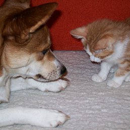 ���� ������, ������, 49 ��� - ��������� 29 ������ 2014