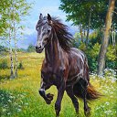 ���� �����, ����������� - ��������� 22 ������ 2014 � ������ �������