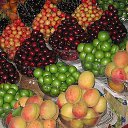 ���� �������, ���������, 64 ���� - ��������� 16 ������� 2014 � ������ ���� ����������