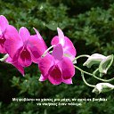 ���� Tatiana, ����������� - ��������� 5 �������� 2013 � ������ ���� ����������