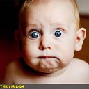 ���� ���������, ����-����������� - ��������� 4 ������ 2013 � ������ ���� ����������