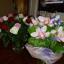 ���� �������, �����-���������, 58 ��� - ��������� 27 ������ 2013 � ������ ���� ����������