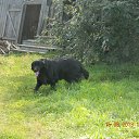 ���� ������, �����, 54 ���� - ��������� 21 ������� 2013 � ������ �����2013�