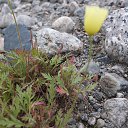 ���� ������, ������, 57 ��� - ��������� 9 �������� 2013 � ������ ���������