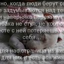 ���� �����, ���������, 37 ��� - ��������� 5 ������� 2014 � ������ ���� ����������