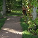 ���� ����������, �����-���������, 50 ��� - ��������� 11 ������� 2013 � ������ ���� ����������