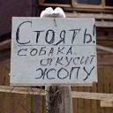 ���� �����, ������, 43 ���� - ��������� 11 ������� 2013 � ������ ���������