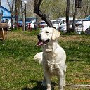 ���� Markuc, �������������-����������, 39 ��� - ��������� 31 ������ 2014 � ������ ���� ����������