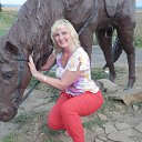 ���� �����, ��������� - ��������� 10 �������� 2013 � ������ ���� ����������