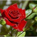 ���� ������, ���������� - ��������� 1 ����� 2014 � ������ ���� ����������