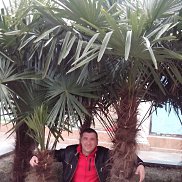 petruha, 44 , 