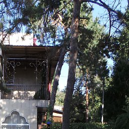 ��������, ������, 31 ���