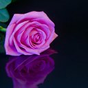 ���� �����, �����-���������, 41 ��� - ��������� 15 ������ 2014 � ������ ������ ��������