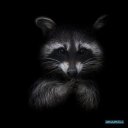 ���� ����������, ������ ��������, 44 ���� - ��������� 17 ������� 2013 � ������ ���� ����������