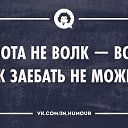 ���� ���������, �����������, 33 ���� - ��������� 22 ������� 2014 � ������ ���� ����������