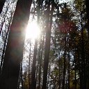 ��������� �� ������� ���� ����������