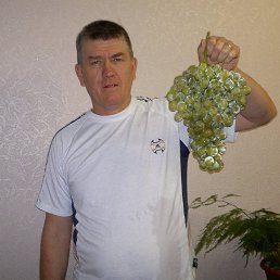 , 61, 