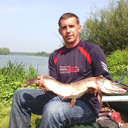 ������, ��������, 51 ���