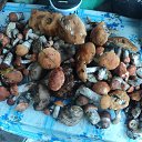 ���� ��� ���, ���������, 39 ��� - ��������� 22 �������� 2013 � ������ ������ ������߻