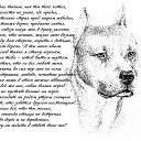 ���� �����, ���������, 37 ��� - ��������� 5 ������� 2014 � ������ ���� ����������