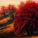 ���� �e� �, ������, 55 ��� - ��������� 23 ������ 2014 � ������ ���� ����������